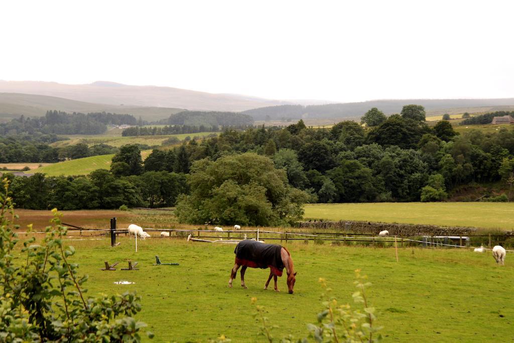 Hollybush Inn Greenhaugh Esterno foto